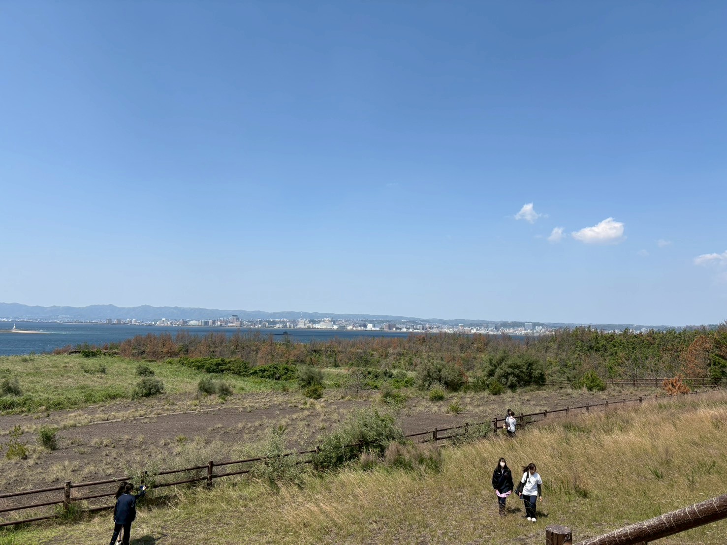 桜島から望む鹿児島市街