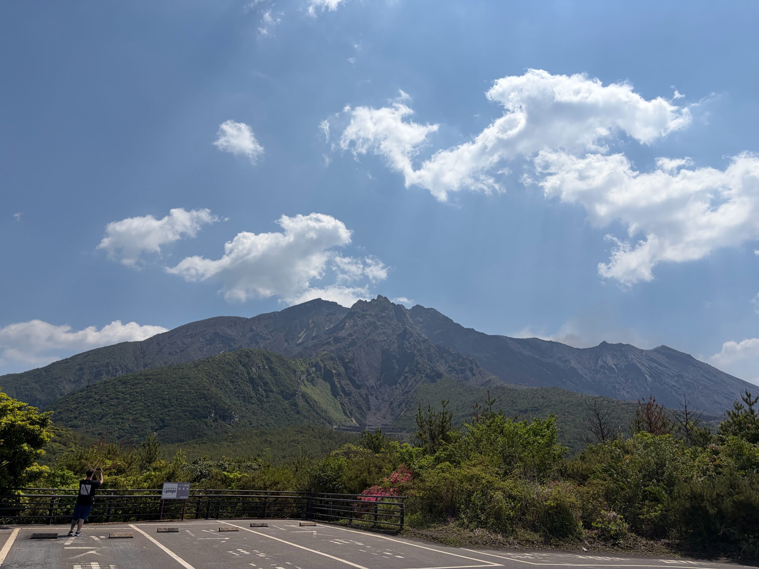 桜島山頂を見上げる
