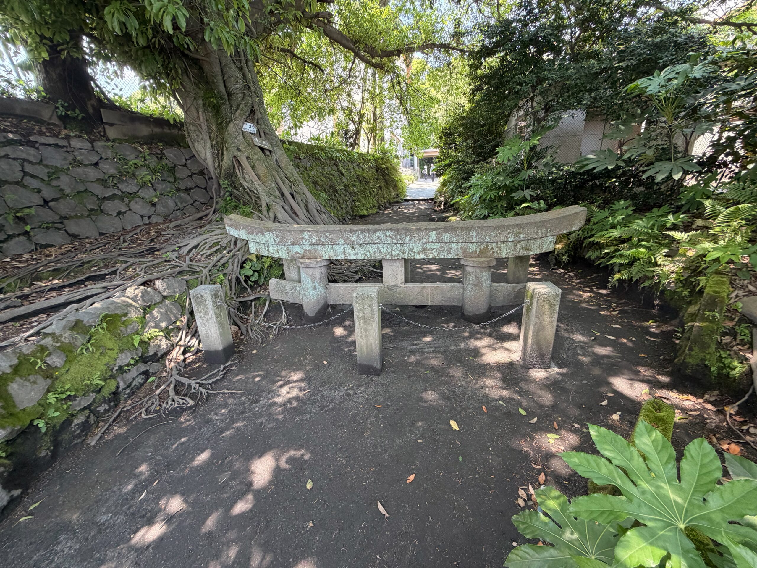 黒神埋没鳥居
